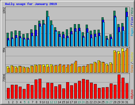 Daily usage for January 2019
