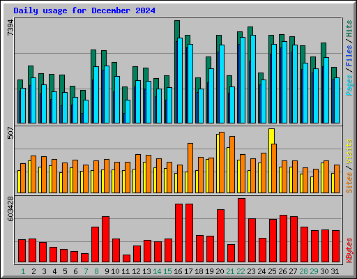 Daily usage for December 2024