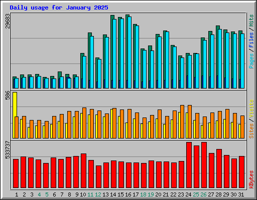 Daily usage for January 2025