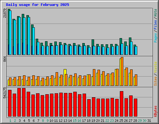 Daily usage for February 2025