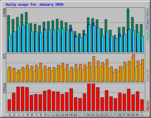 Daily usage for January 2026