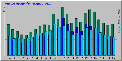 Hourly usage for August 2015