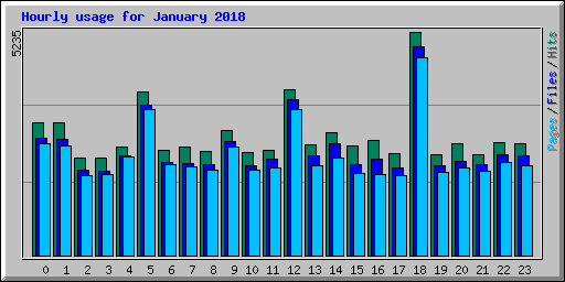 Hourly usage for January 2018