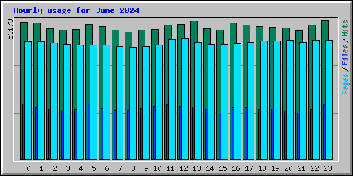 Hourly usage for June 2024