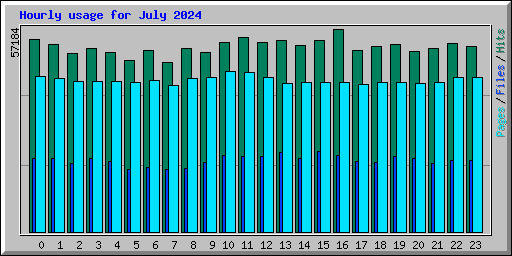Hourly usage for July 2024
