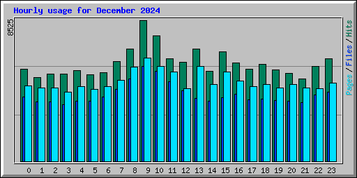 Hourly usage for December 2024