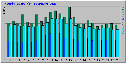 Hourly usage for February 2025
