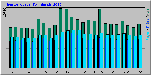 Hourly usage for March 2025