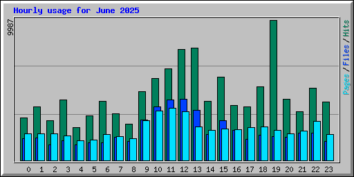 Hourly usage for June 2025