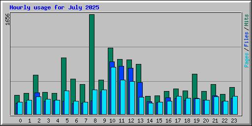 Hourly usage for July 2025