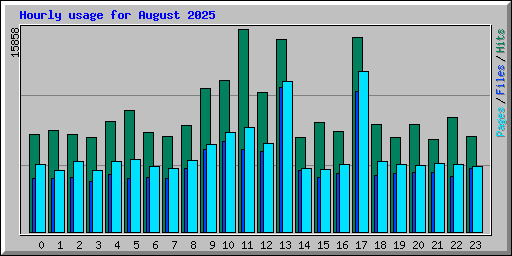 Hourly usage for August 2025