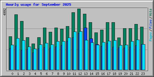 Hourly usage for September 2025