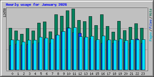 Hourly usage for January 2026