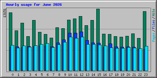 Hourly usage for June 2026